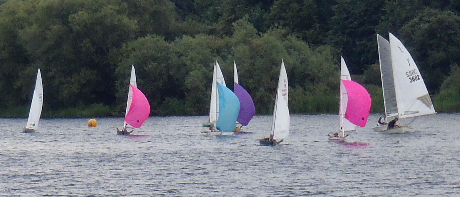 Colourful spinnakers on the water